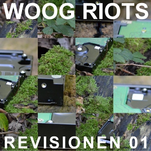 Artist: Woog Riots